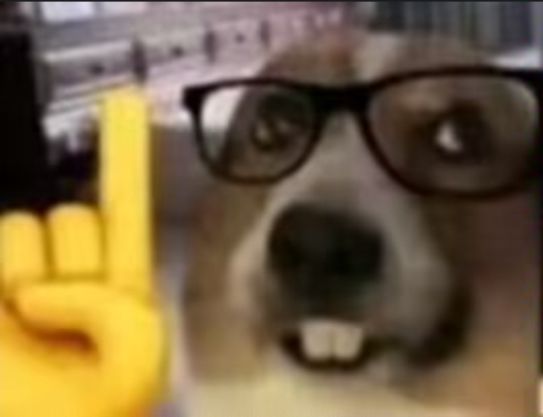 创作大赛作品支持一下 2