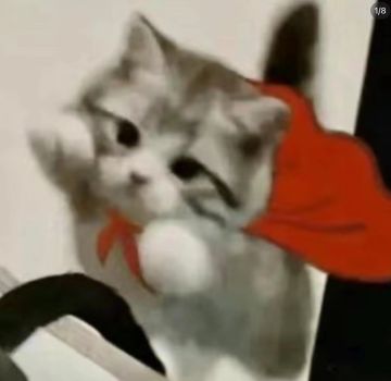 【樱花道馆】英魂新限定忍者向简要测评 2024.11.20