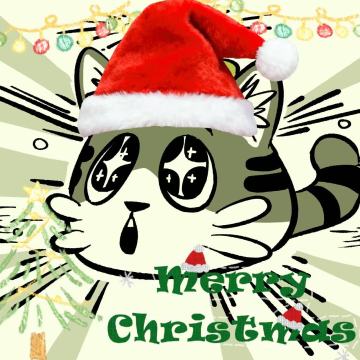 圣诞快乐喵🎄