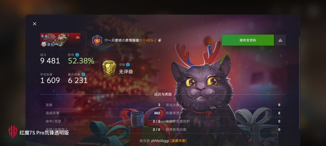 动态图片 10