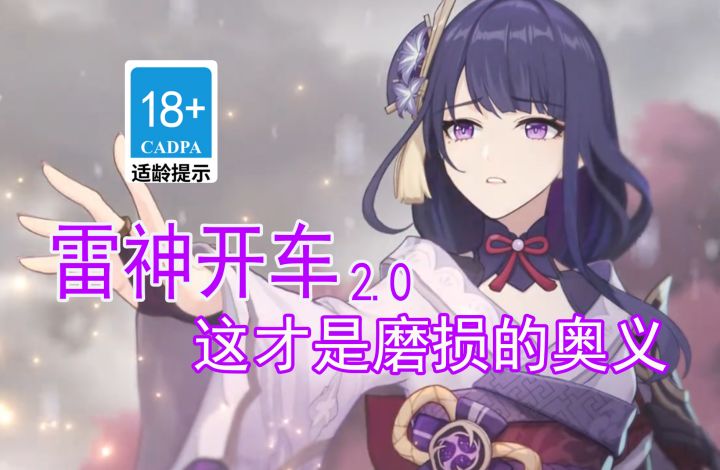 【原神歪传】雷神开车2.0 这才是磨损的意义截图