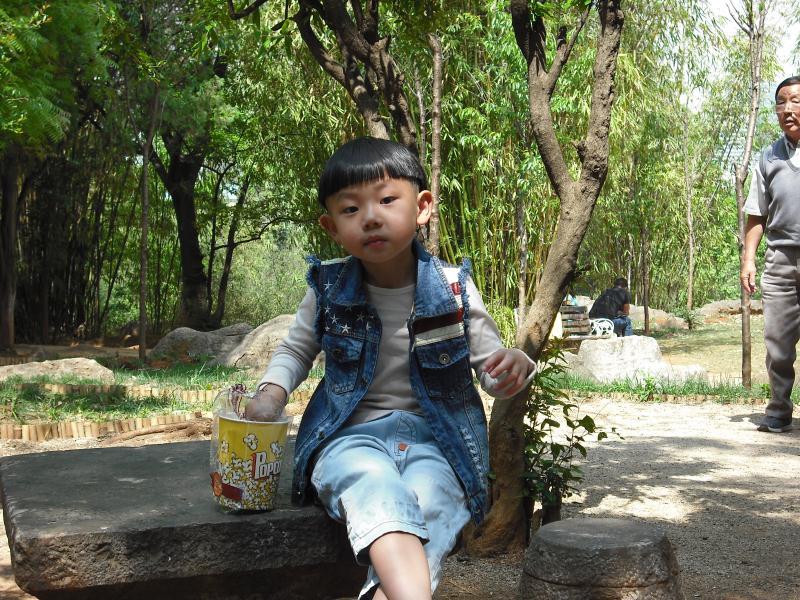 动态图片 2