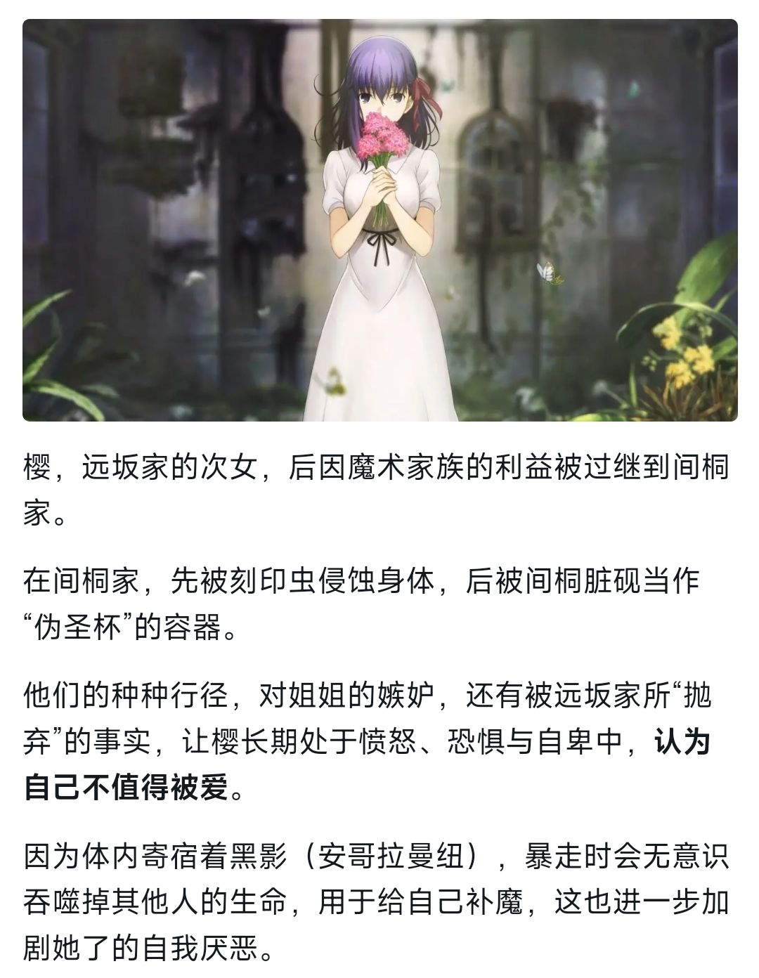 “迷失之蝶” 3