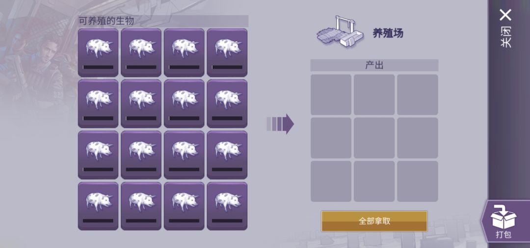 16花猪与16绵羊毕业 4