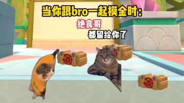 请选择你的摸金搭子