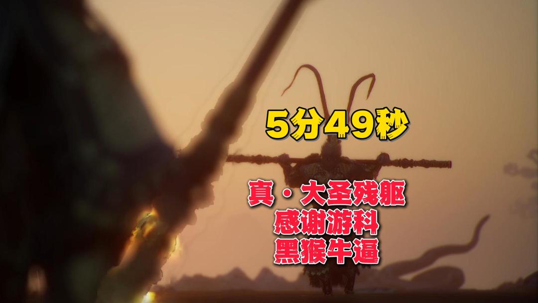 video-4443080