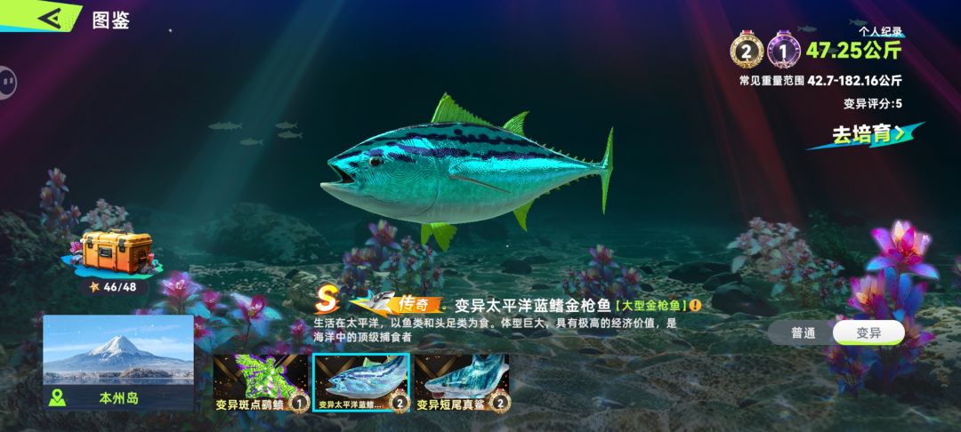 动态图片 6