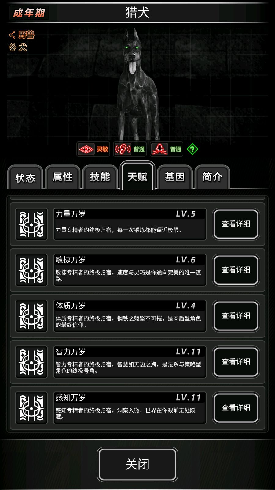 纪念下我的狗子 1