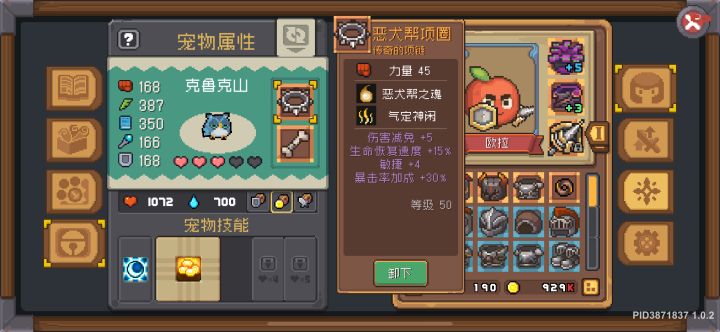 为什么宠物装备套装效果不生效,是BUG吗截图