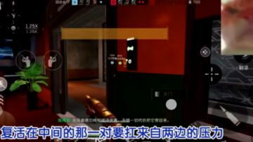 鼠鼠我啊，要下水了