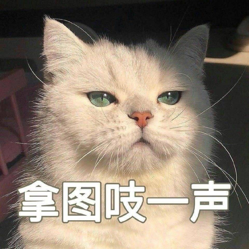 我想知道这游戏什么时候出RPG,和榴弹炮我钞票都准备好了 1
