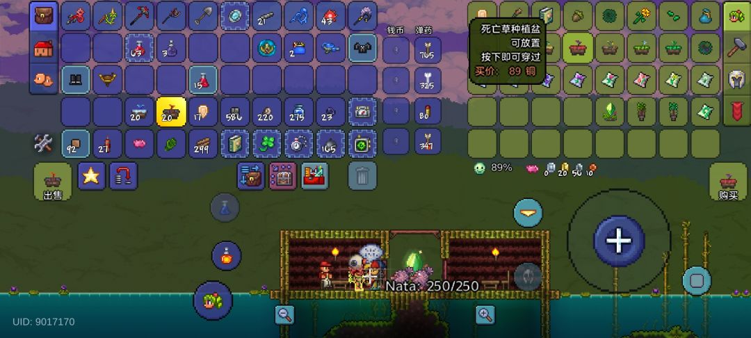 死亡草的种植盆,它会感染感染周围腐化吗? 1