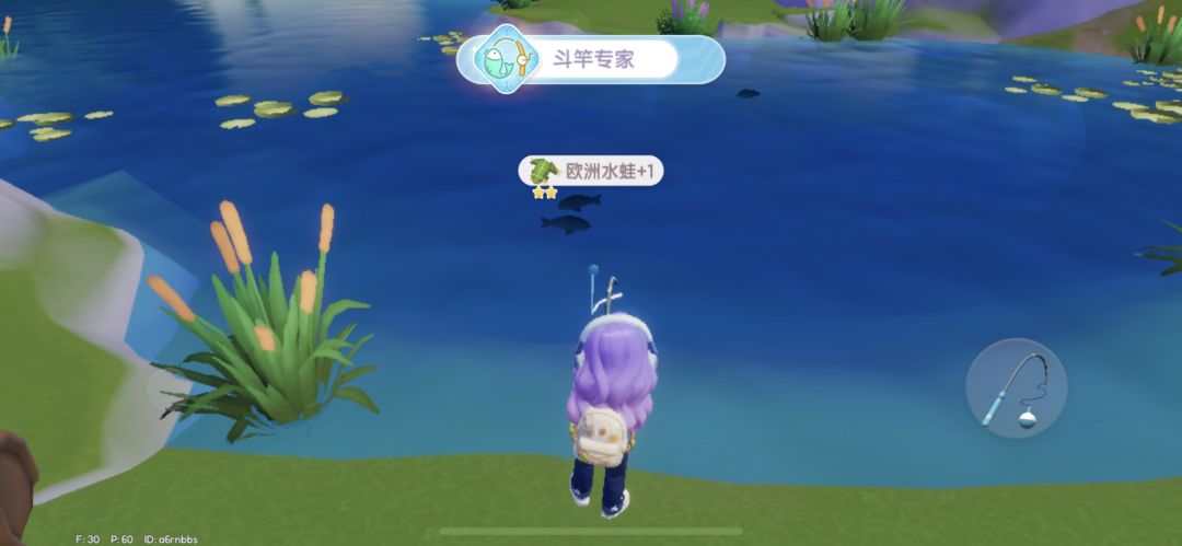 9月16日溜溜木和萤石位置 3