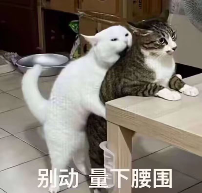 《极简搜打撤》更新到3.53啦 4