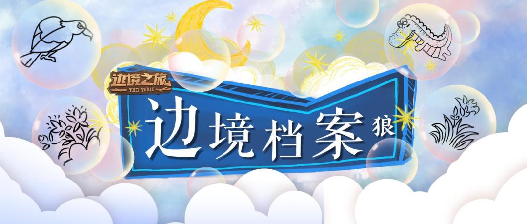 边境档案｜狼：身披毛衣的血性战斗士！截图