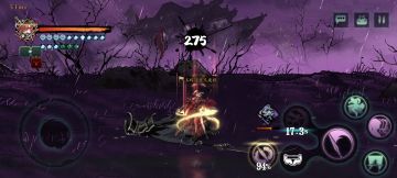 我聊聊虬龙套（别喷）适合自己的才是最好的