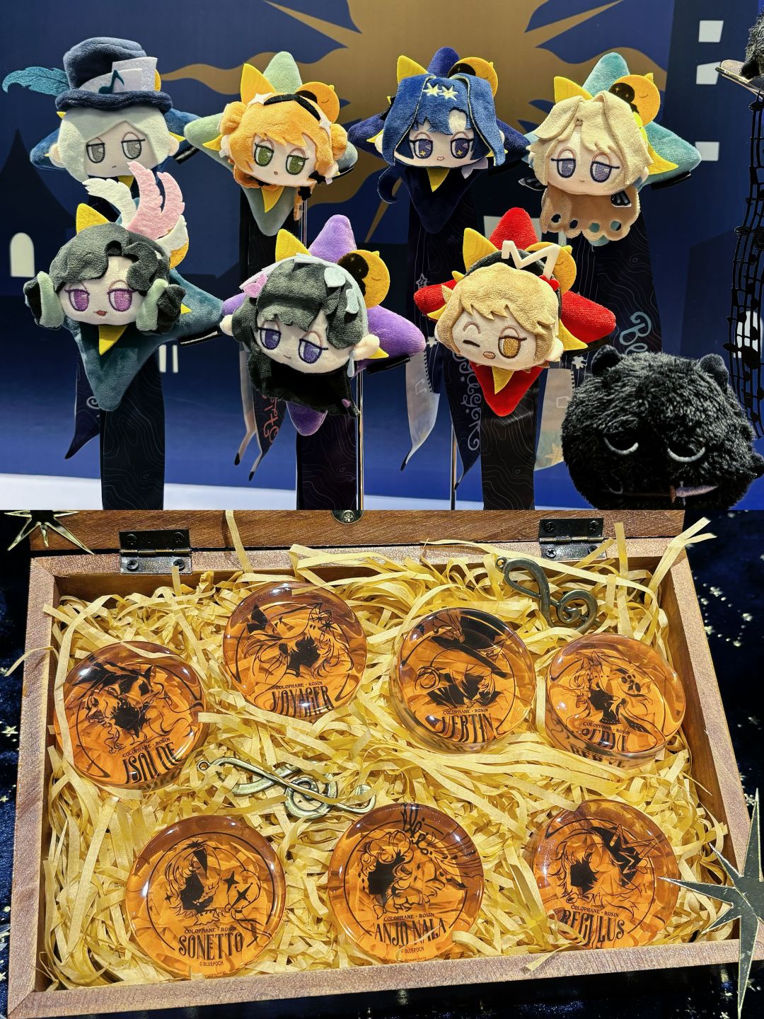音乐会快闪丨这也太今夜星光灿烂了 5