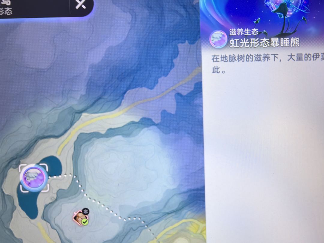 全体目光向我看齐!我宣布一辈子拥护伊莫! 4
