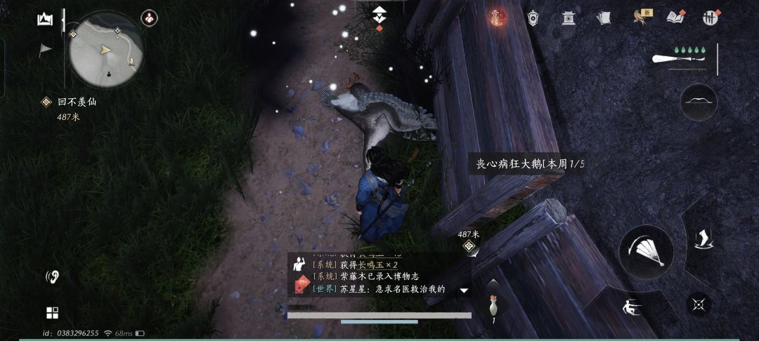 大鹅 1