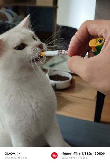 公测兑换码最新分享