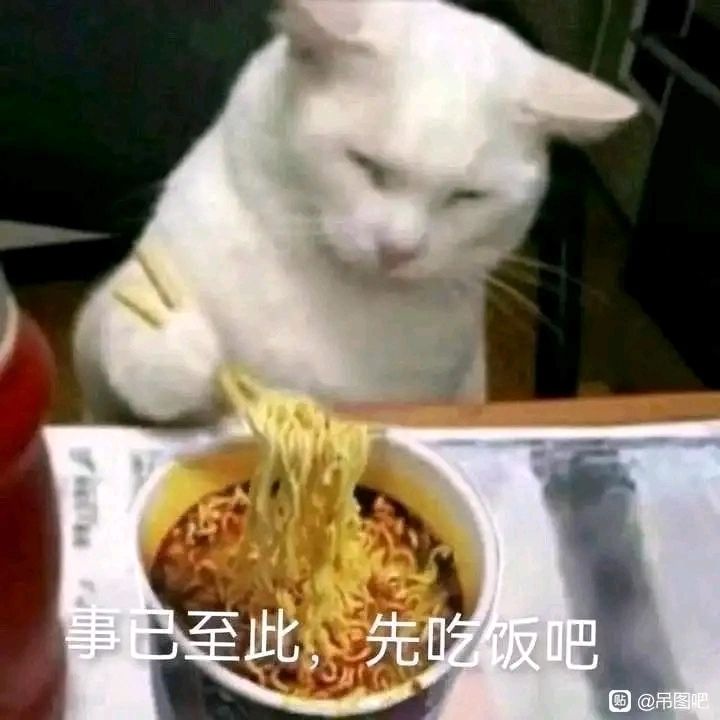 关于我的一些感想 3