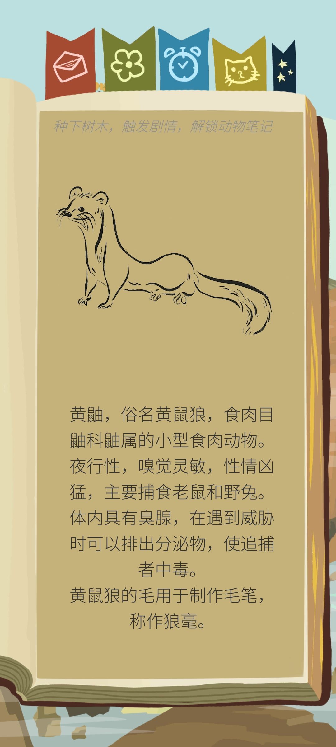 新手一枚 1