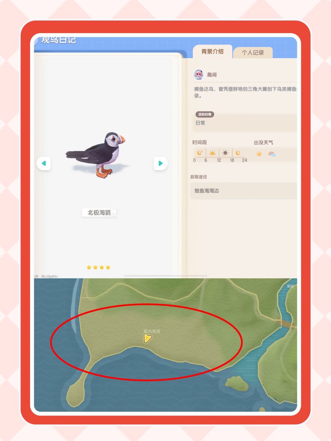 【心动小镇12级鸟】北极海鹦位置 2