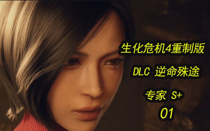 【逆命殊途 生化危机4重制版DLC】正常流程专家S+ 01截图