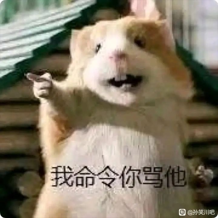 这次到底在测什么截图