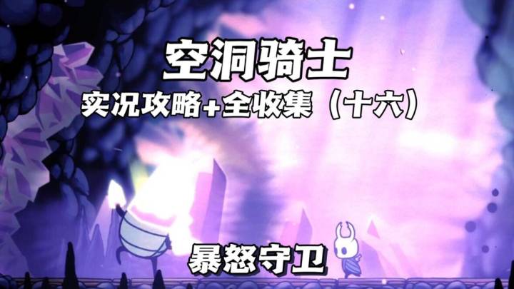 （三森）Hollow Knight空洞骑士P16暴怒守卫截图