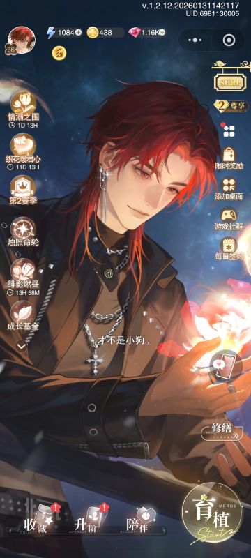 入坑必看！新人扫盲向（下）