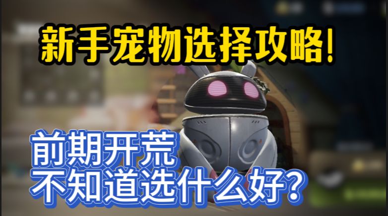 新手必看攒钱宠物选择攻略！！！截图