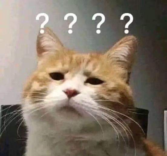 我不是01年的吗？ 5