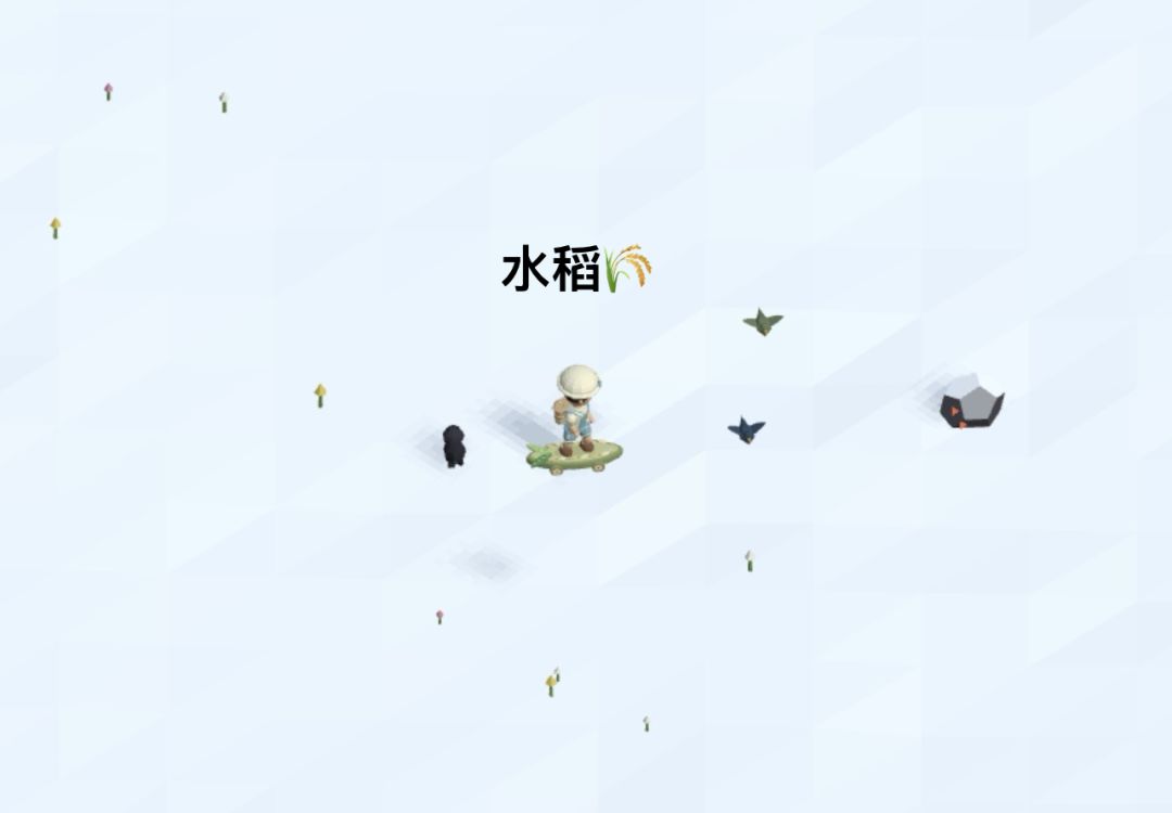记录/去你的岛/目前拥有的滑板外观 8