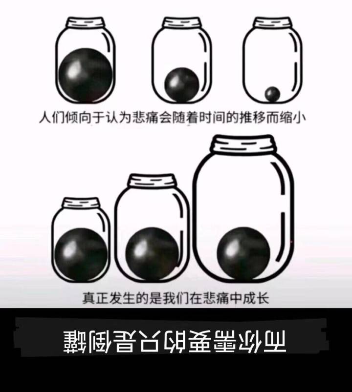 铃兰这几个dlc是要遍历人类的陋习吗?截图
