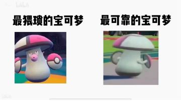 神秘的猛毒蘑菇