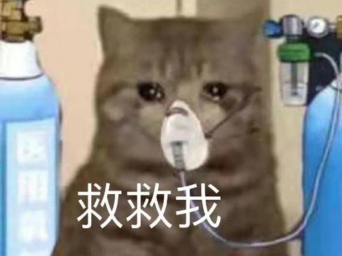 好想抽卡我要死了截图