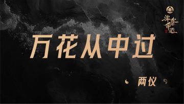 万花丛中过——两仪