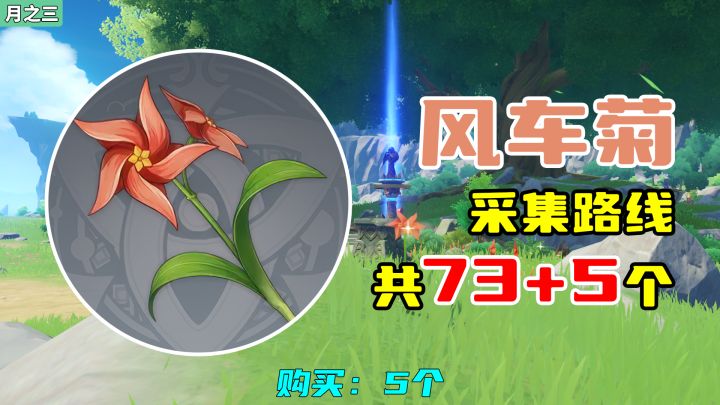 【原神】风车菊采集路线(73+5个),购买:5个截图