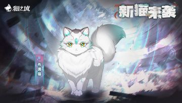版本预告 | 新猫来袭