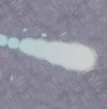 阿瑞斯猜子弹5 2