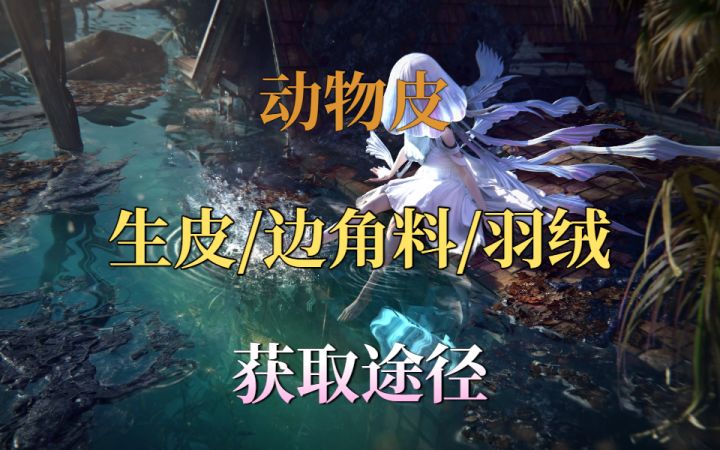 制作防具的金皮紫皮，生皮，边角料，羽绒的来源截图