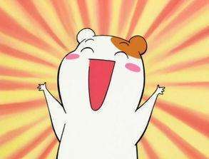 肉肉周报2.0——碎碎念第33期·这就是偶的风格呀~