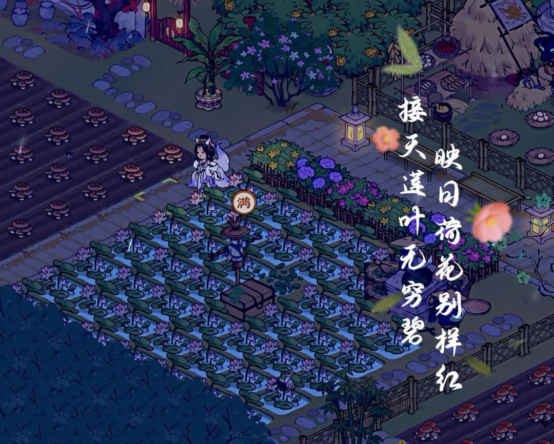 98阶❤误入藕花深处,争渡争渡惊起一滩鸥鹭 1
