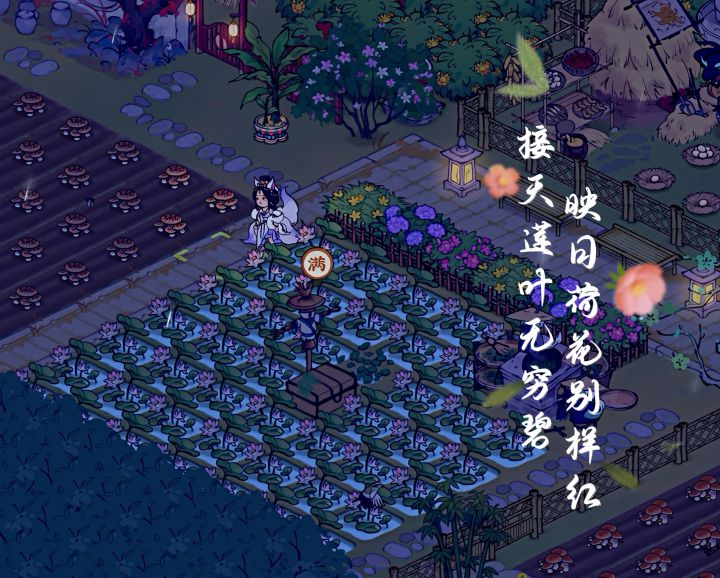 98阶❤误入藕花深处,争渡争渡惊起一滩鸥鹭截图