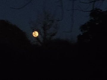 暂时摆烂一会会