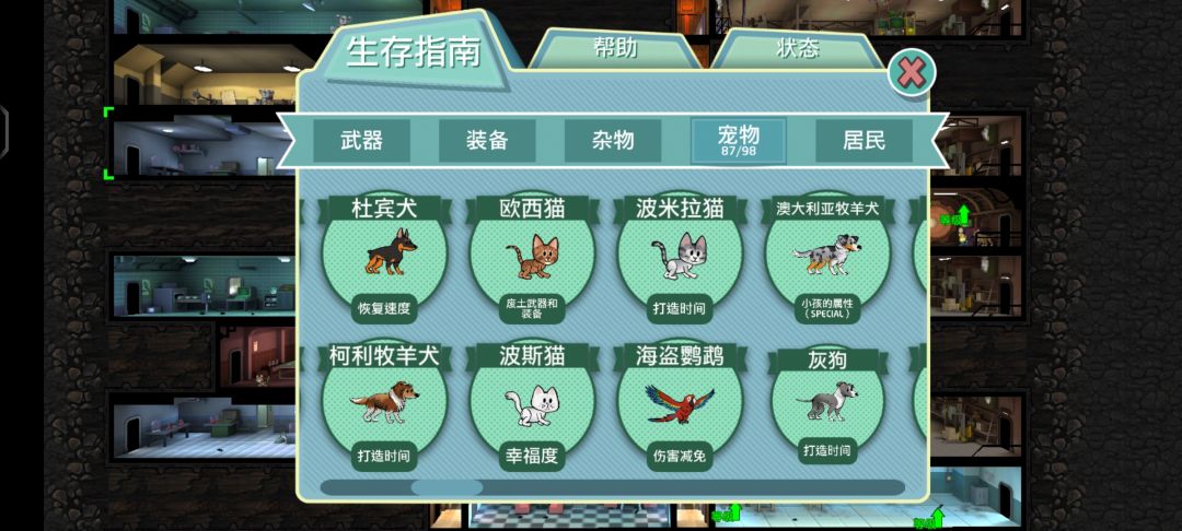 宠物普通款集齐 4