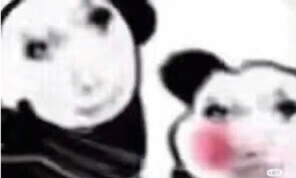 还是快想想怎么补偿吧 2