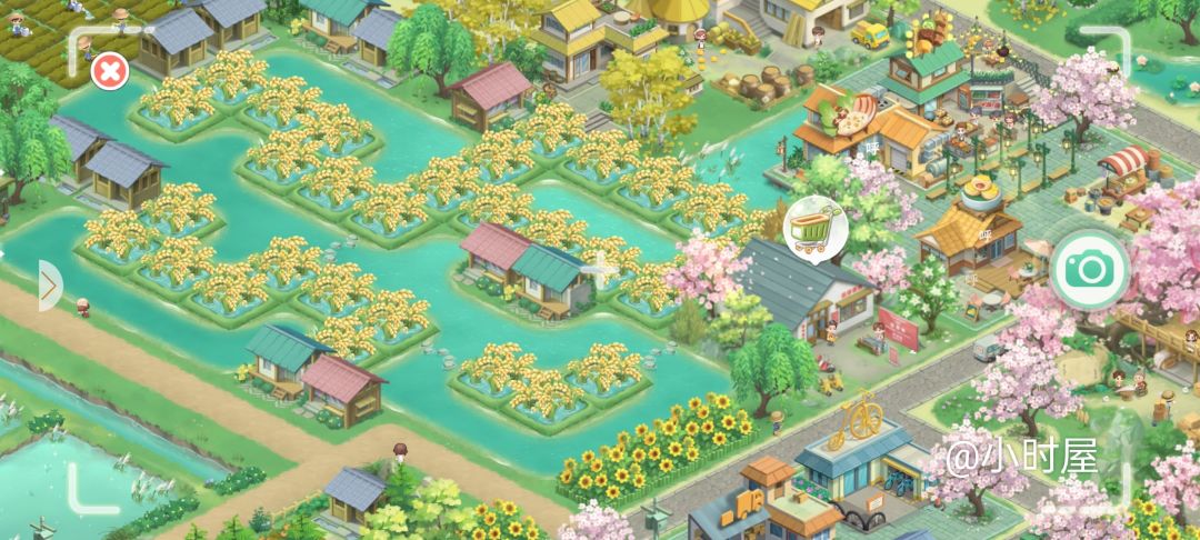 夏日向往浪漫布局越看越喜欢 2
