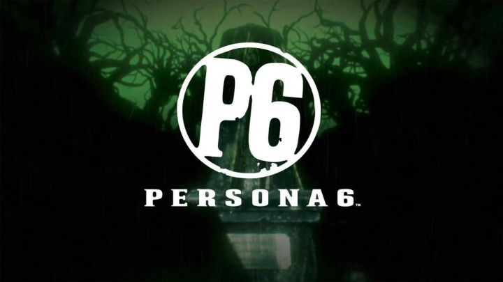 P6确认推出PS5和NS2实体版！或于27年内发售截图